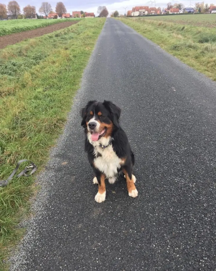 Image from Bruno ❤️❤️❤️