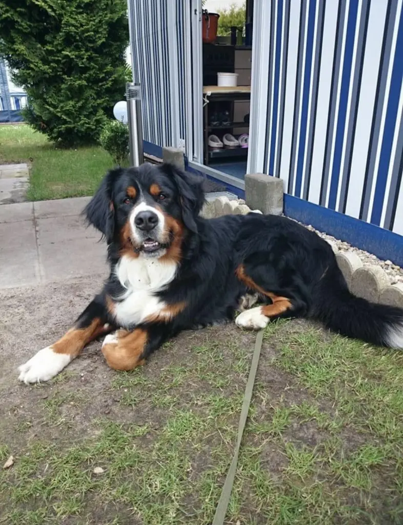 Image from Bruno ❤️❤️❤️