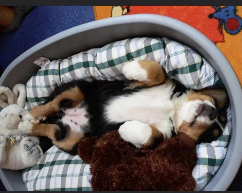 Image from Bruno ❤️❤️❤️