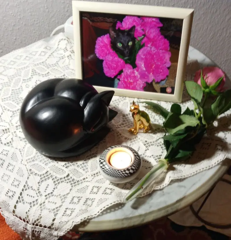 Condolence image of Martina