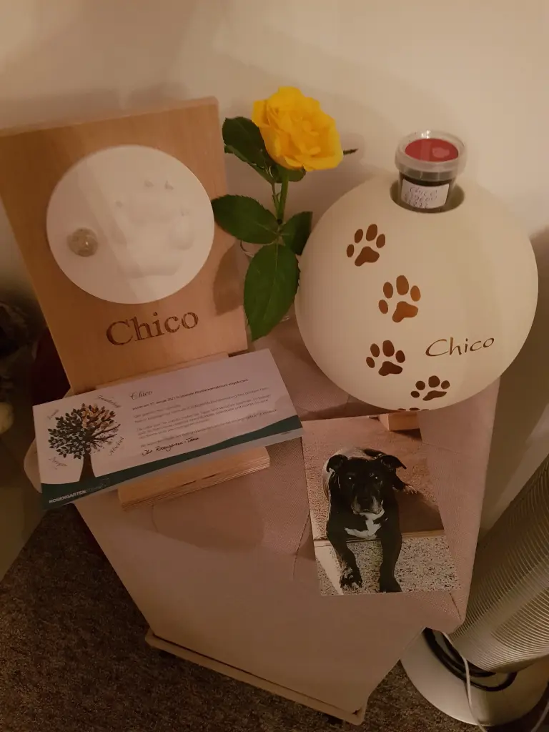 Image from Chico