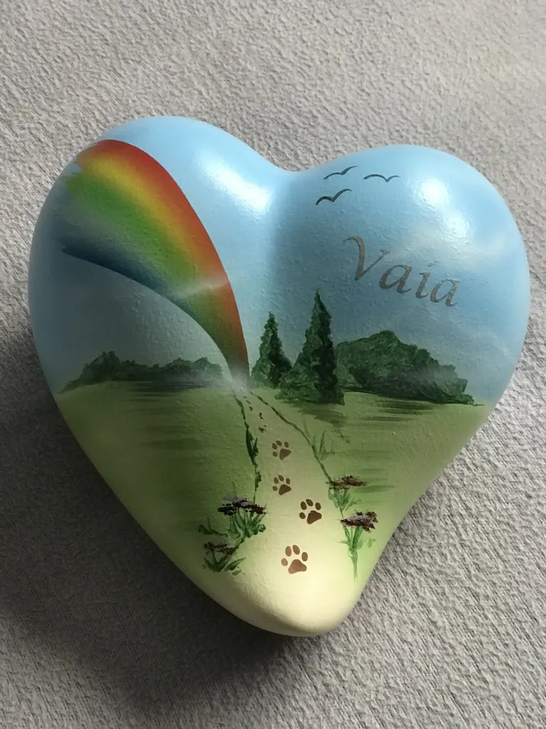 Image from Vaia