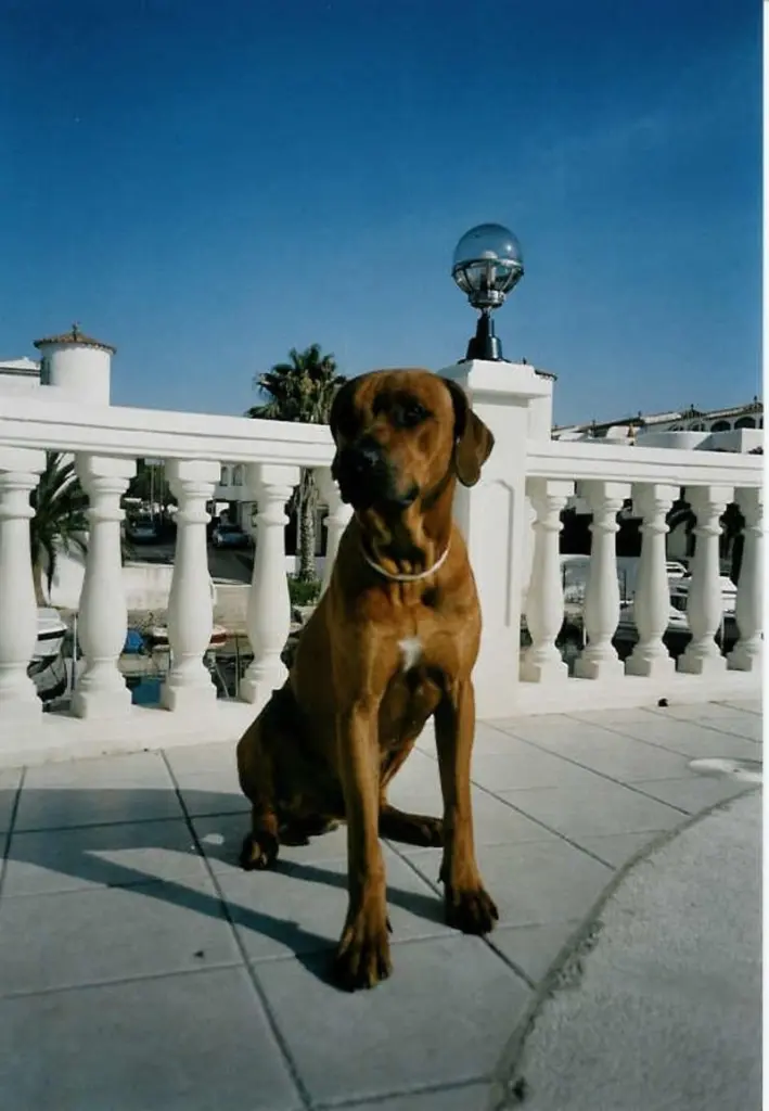 Condolence image of Britta