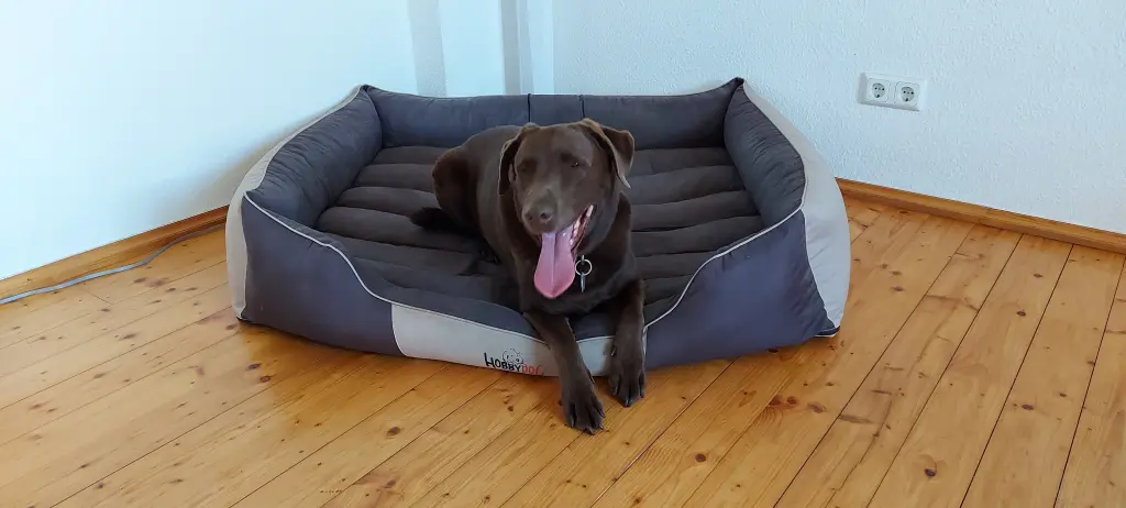 Image from Lennox