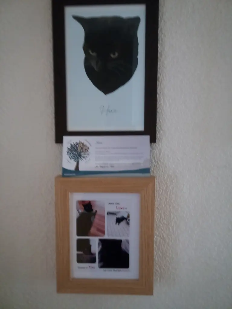 Image from Hexe