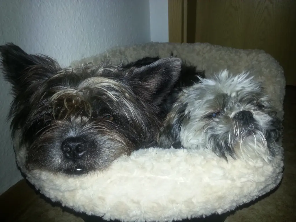 Image from Gremlin