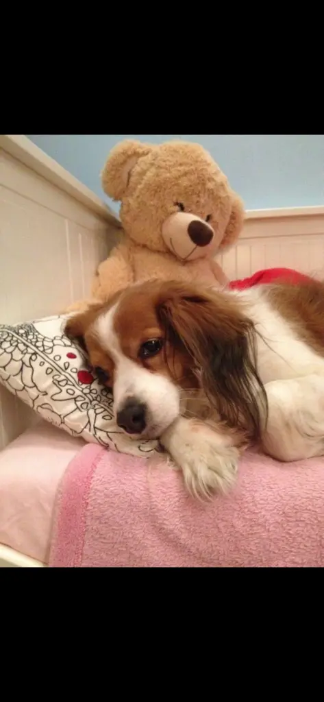 Image from Geena