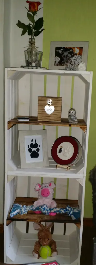 Image from Laika