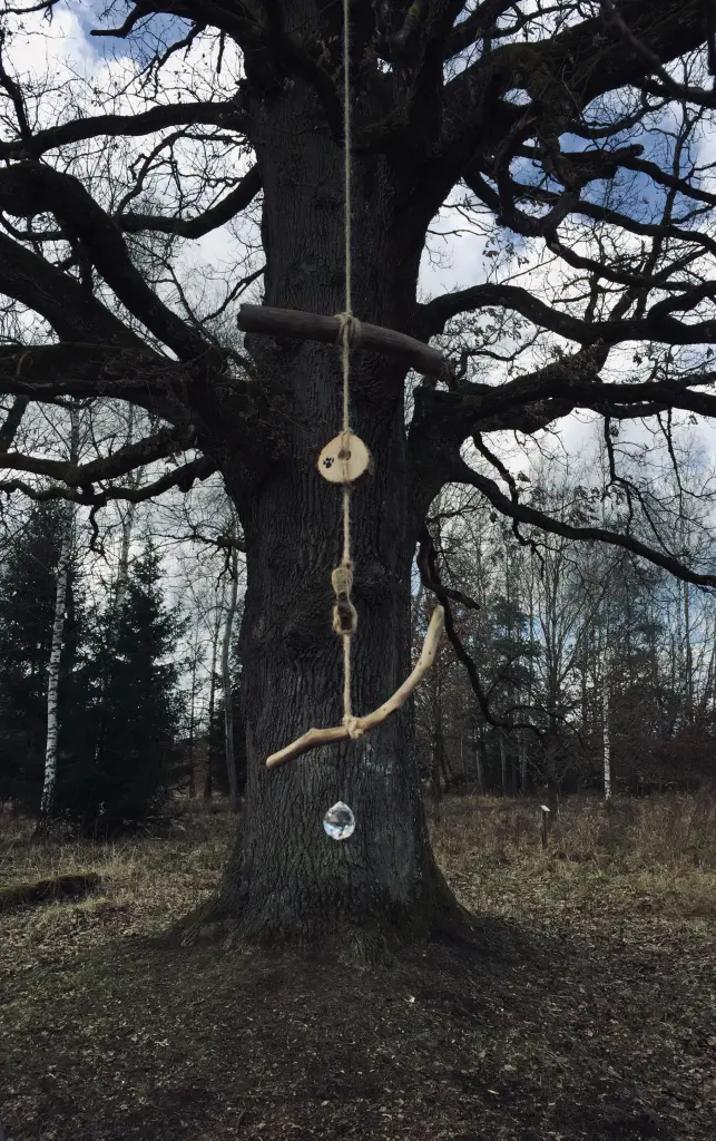 Image from Kaya