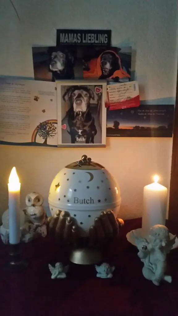 Image from Butch