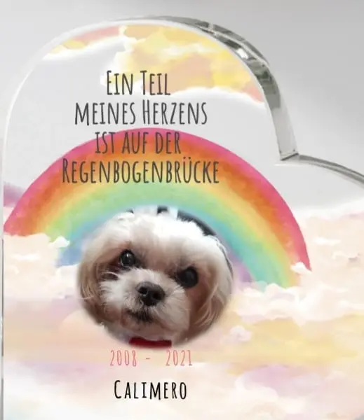 Condolence image of Renate mit Calimero im Herzen und Mogli an meiner Seite