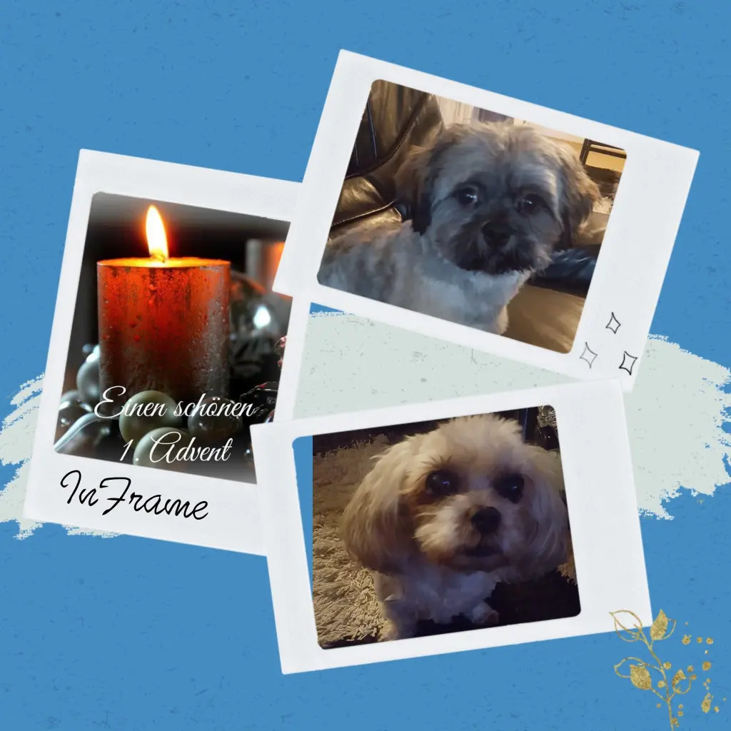 Condolence image of Renate mit Calimero im Herzen  und Mogli an meiner Seite 