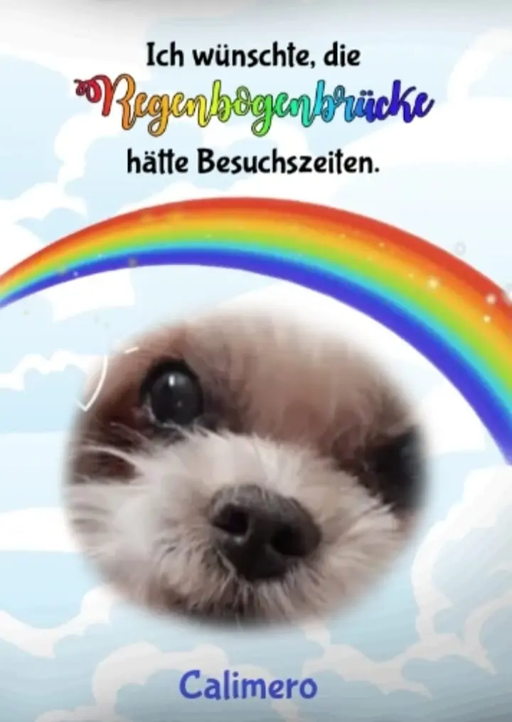 Condolence image of Renate mit Calimero im Herzen und Mogli an meiner Seite