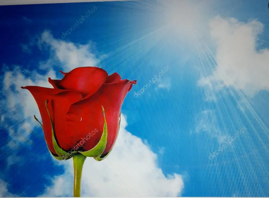 Condolence image of Iris mit Louis im ❤️