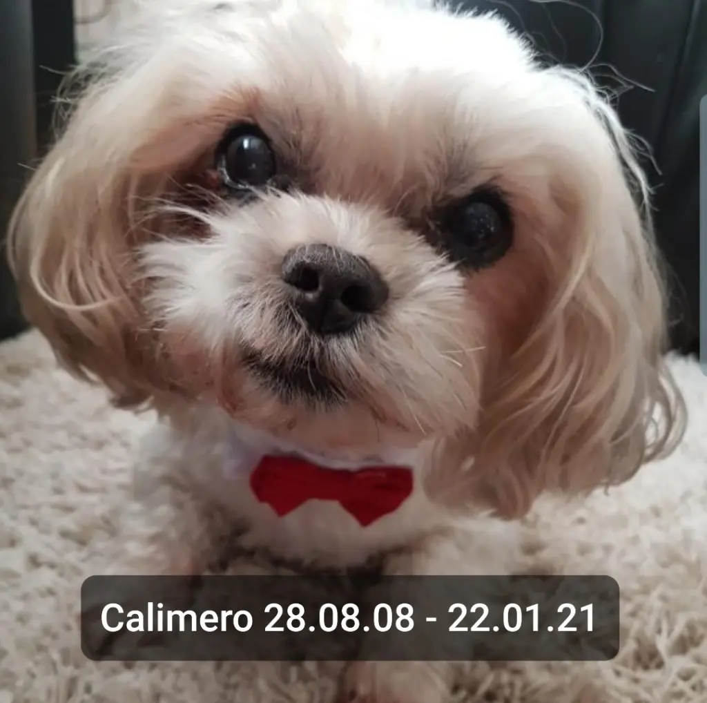 Image from Calimero