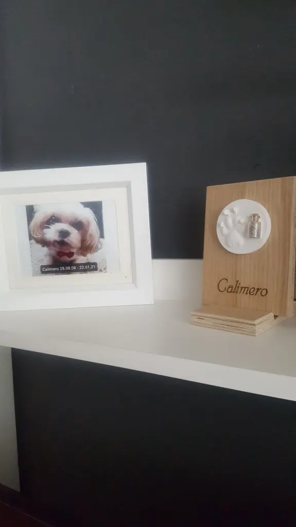 Image from Calimero