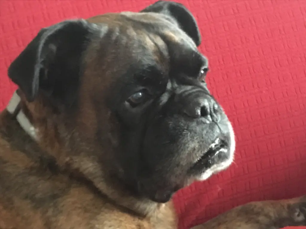 Image from Tamino