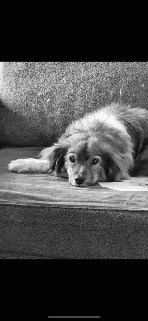 Condolence image of Tanja