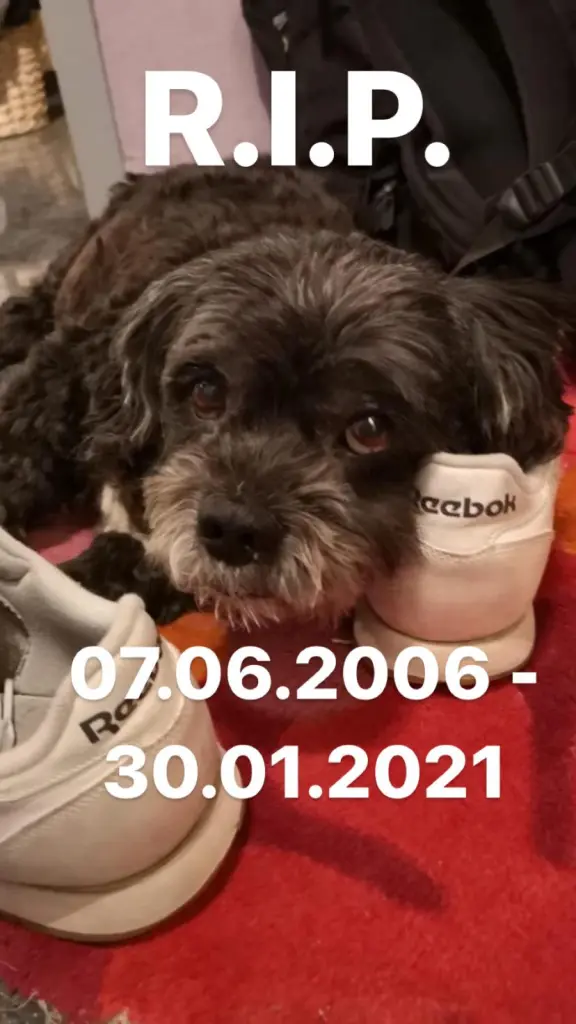 Image from Luigi
