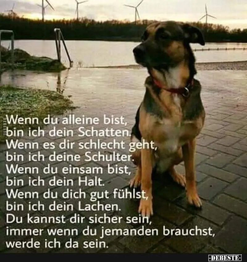Condolence image of Jeannette mit Sisi und Lissy im ❤️