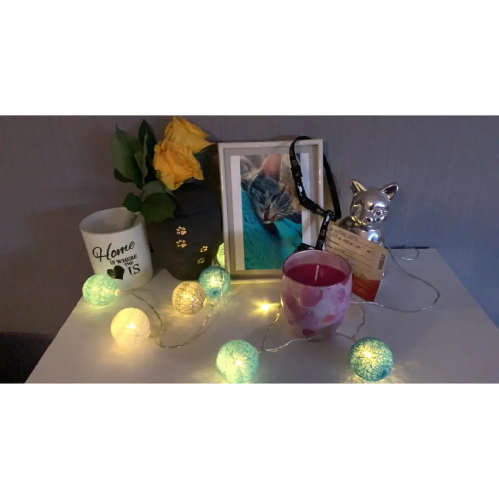 Condolence image of Deine katzenmama❤️