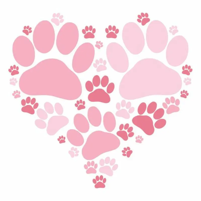 Condolence image of Andrea