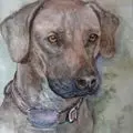Condolence image of Britta