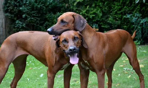 Condolence image of Daniela und Shari
