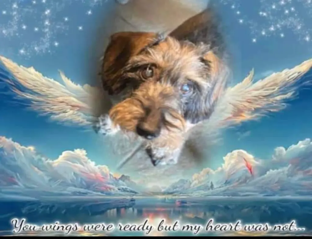 Condolence image of Mika