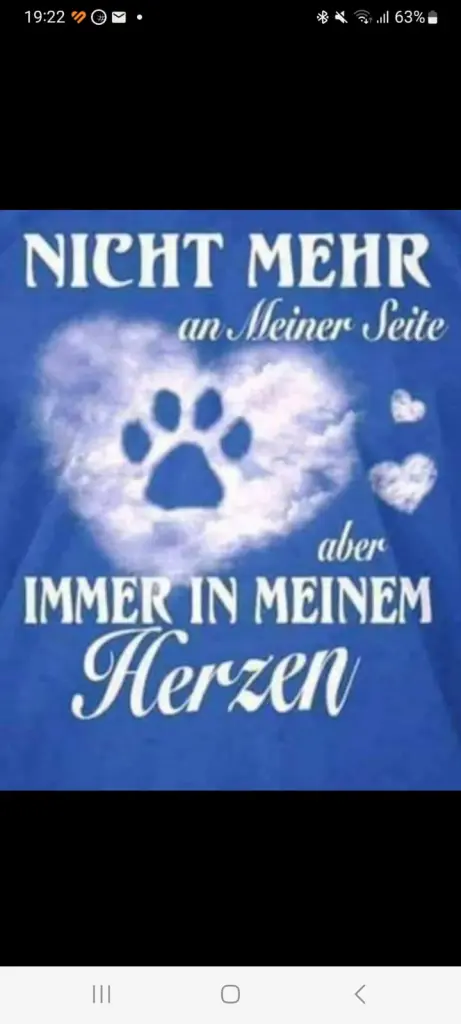 Condolence image of Ostwind