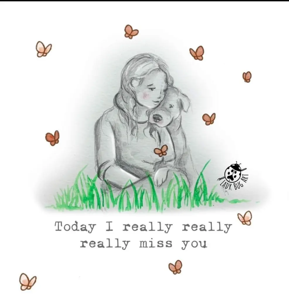 Condolence image of Ostwind