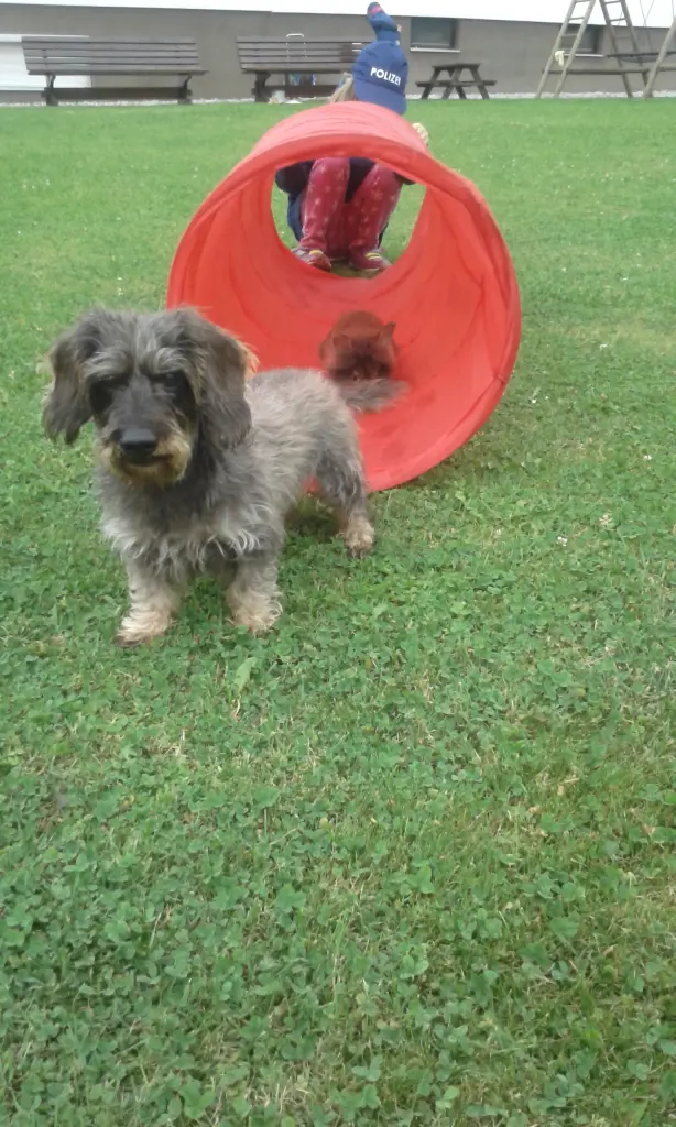 Image from Mogli