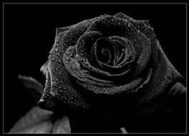 Condolence image of Ela ,Josy