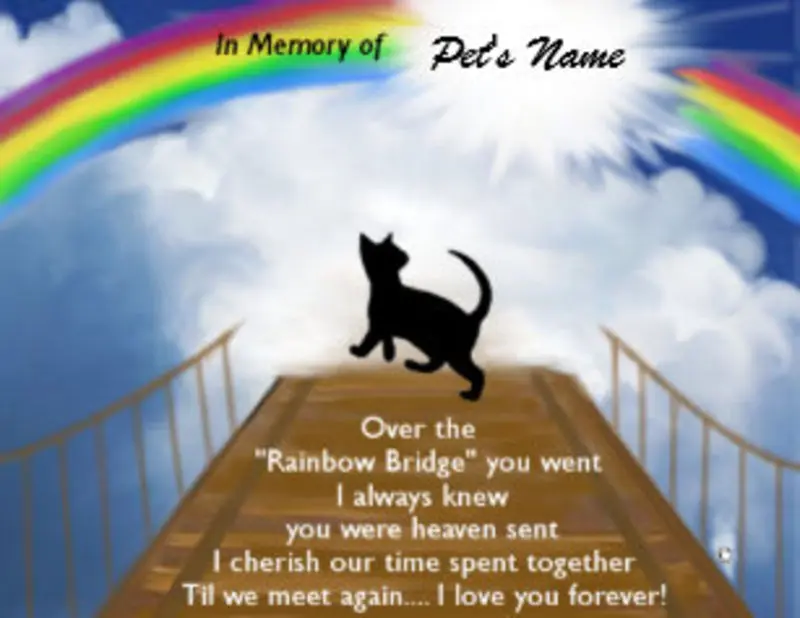 Condolence image of Katrin und Katzi im ❤️