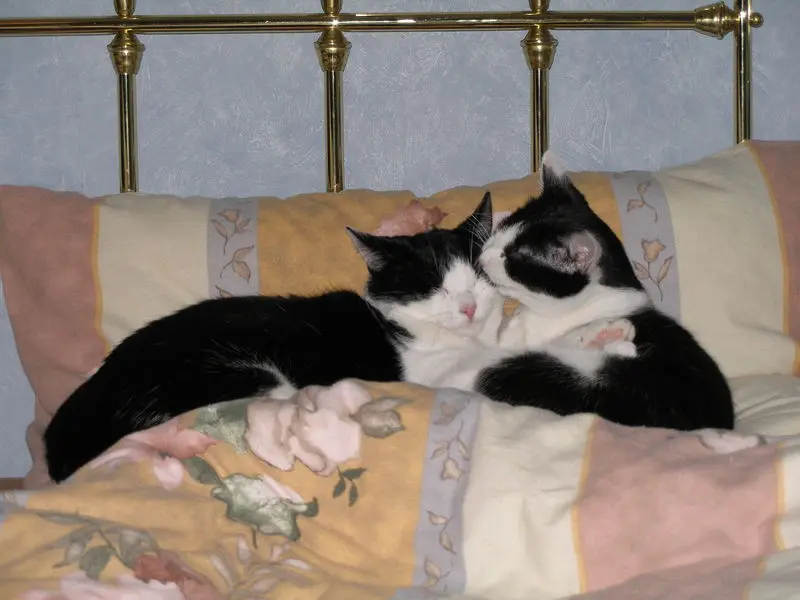 Condolence image of Nicole