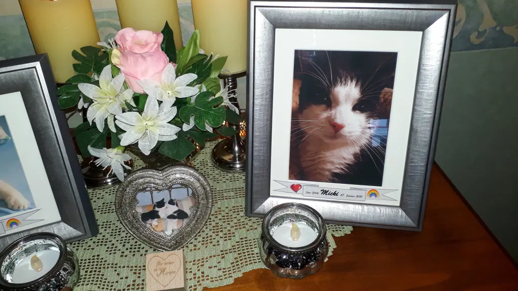 Condolence image of Nicole