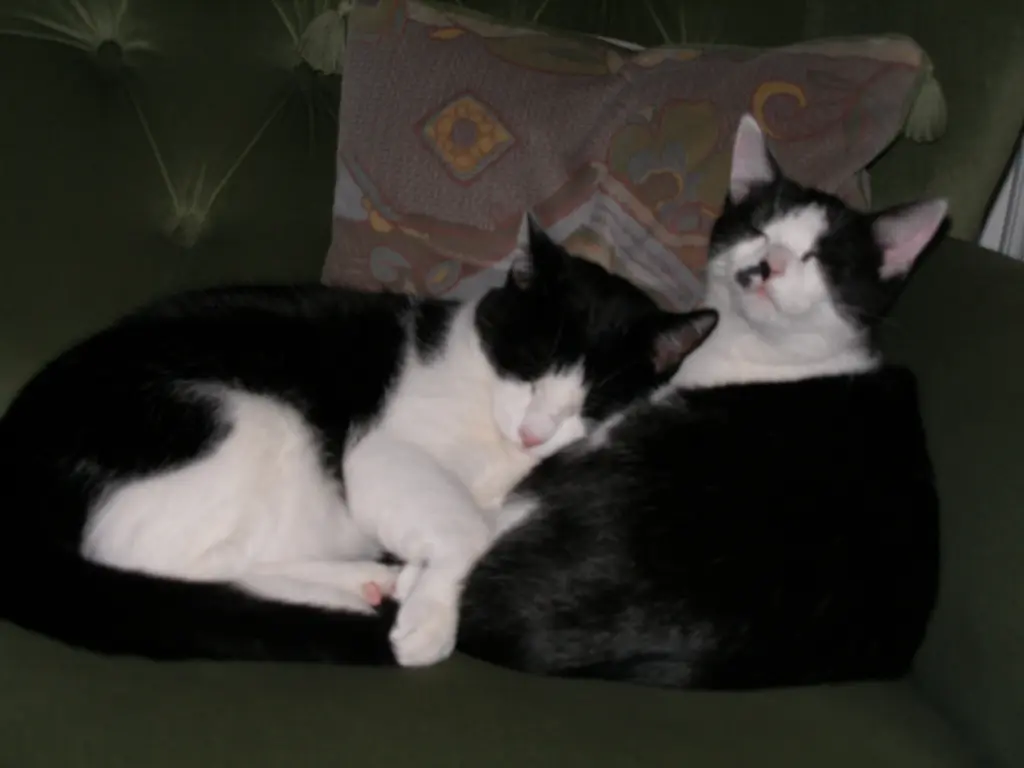 Andachtsbild von Nicole