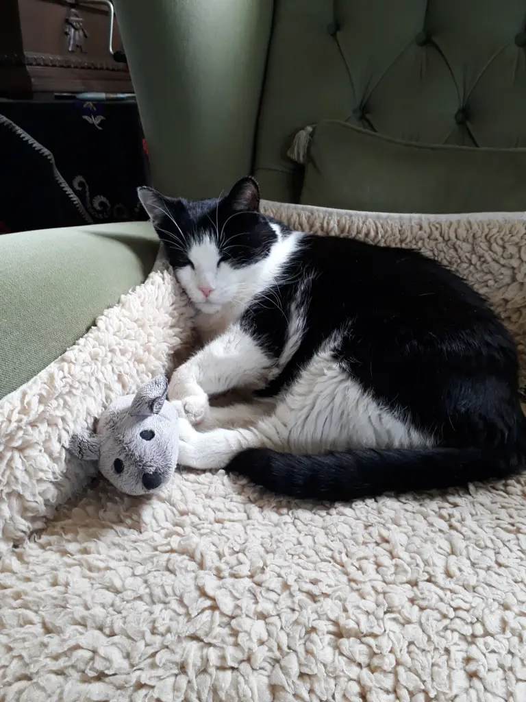 Andachtsbild von Nicole