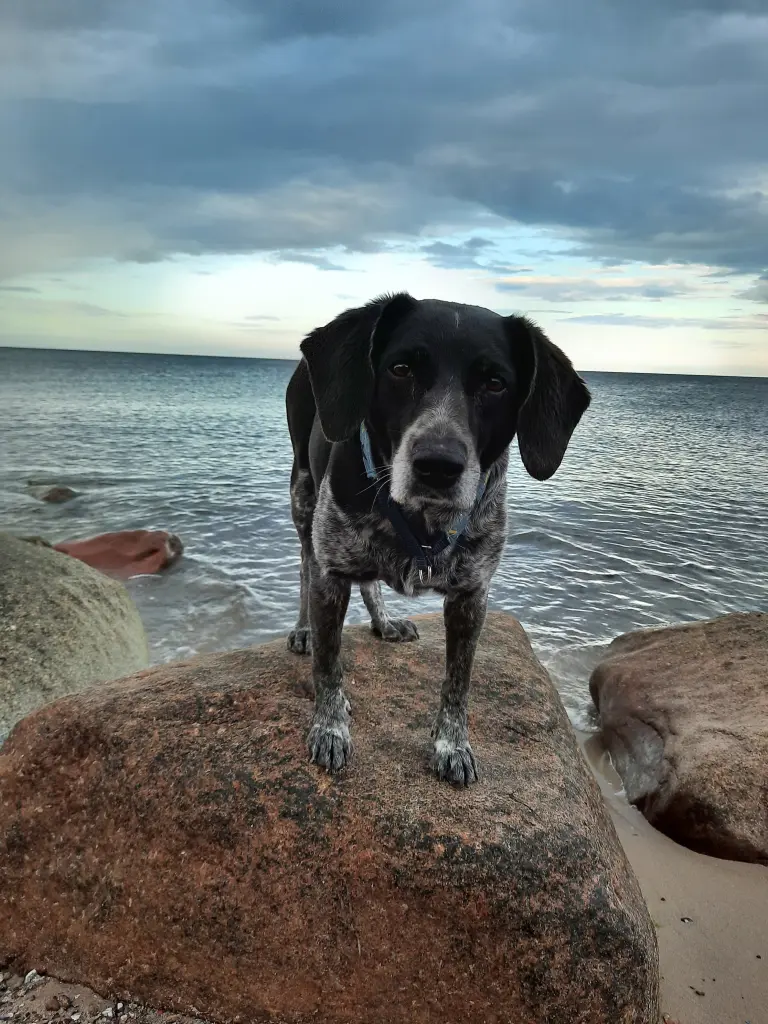 Image from Mädi