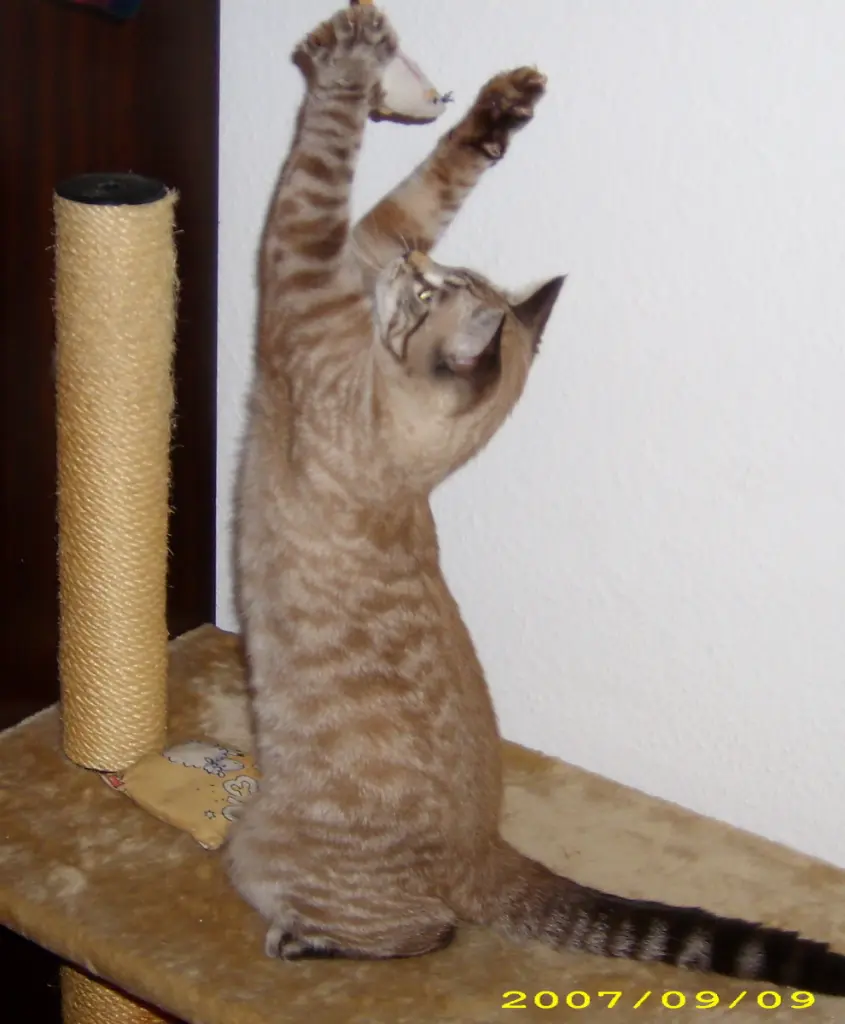 Condolence image of Gisela