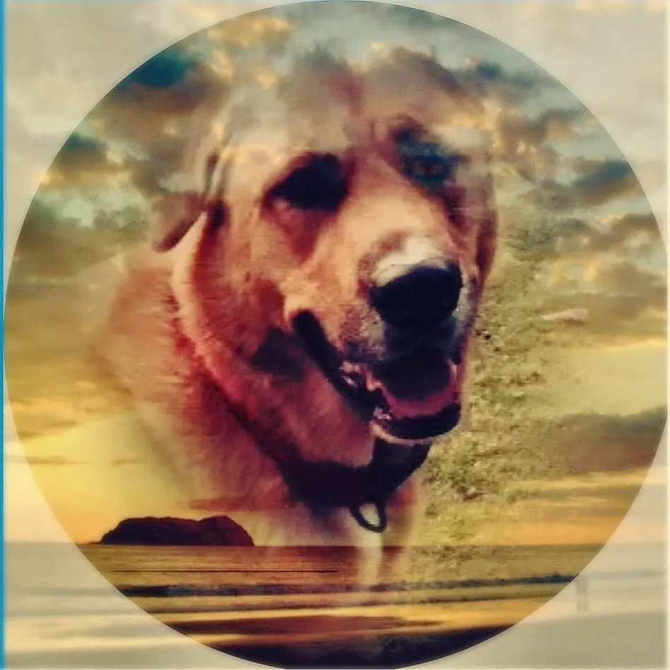 Image from Cora