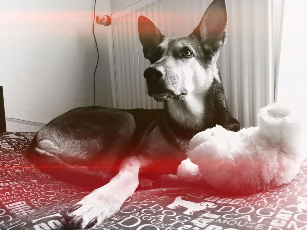 Image from Asta