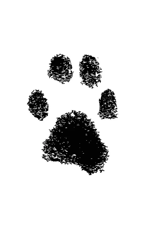 Image from Miro