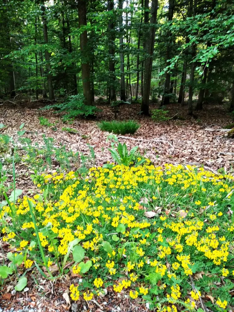Andachtsbild von Erika