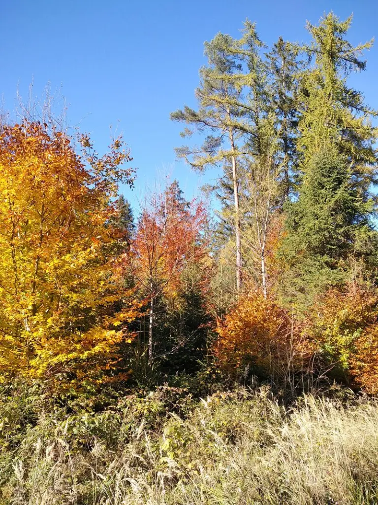 Andachtsbild von Erika