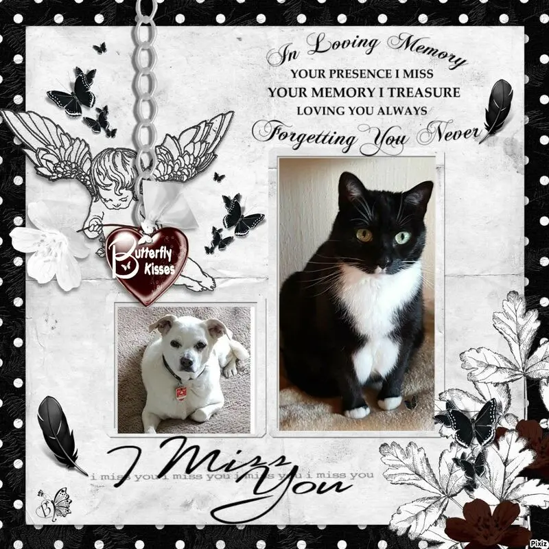 Andachtsbild von Silke mit Seelenhund Cassy und Katzendame Joyce tief im Herzen ❤