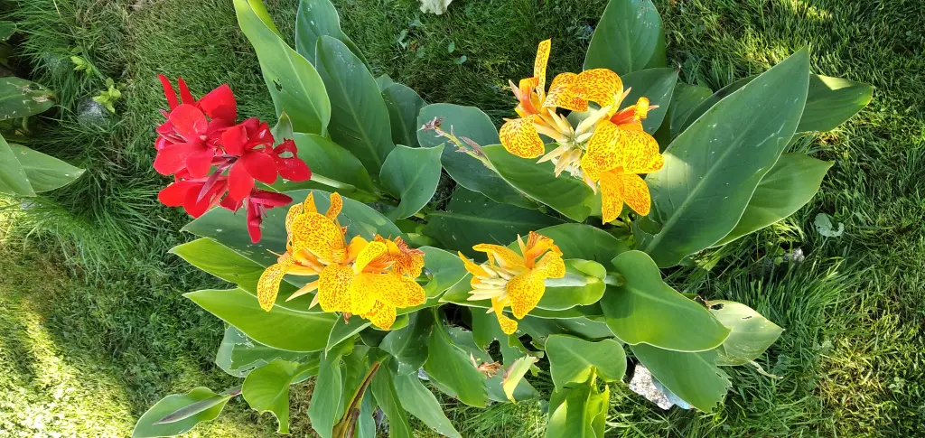 Andachtsbild von Für Gipsy