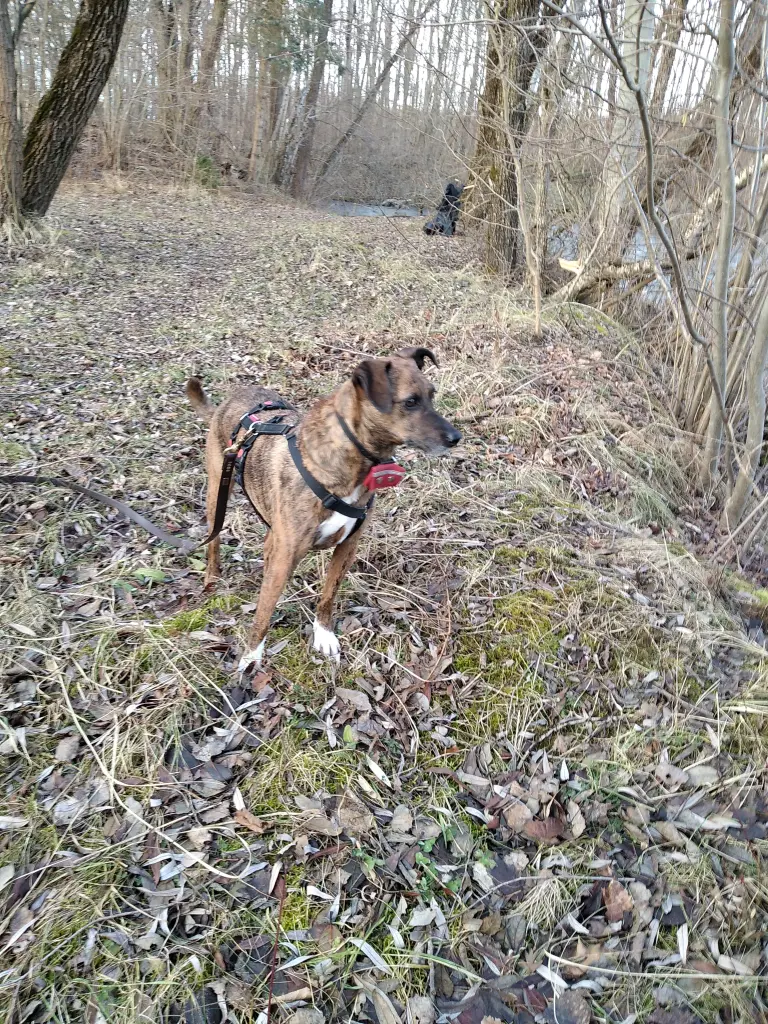 Andachtsbild von Erika Stephan Zara