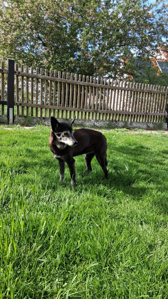 Andachtsbild von Für Gipsy