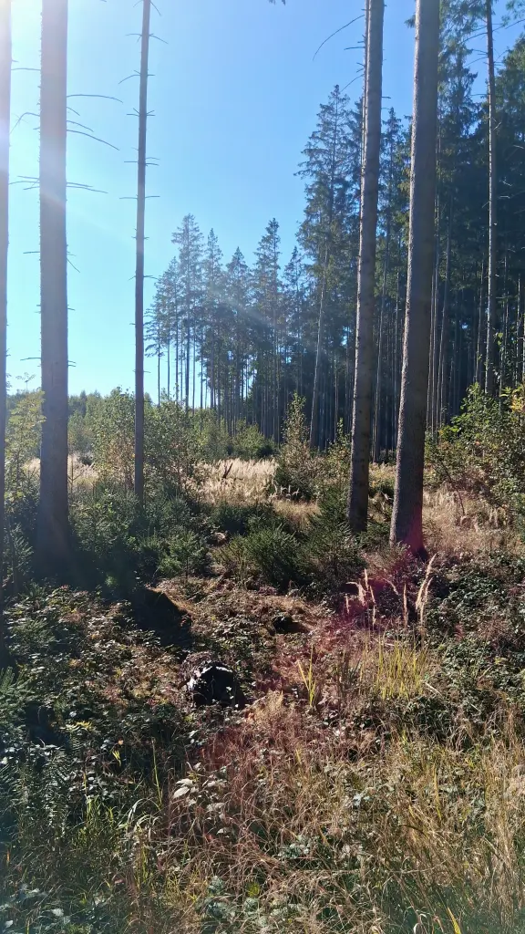 Andachtsbild von Für Gipsy
